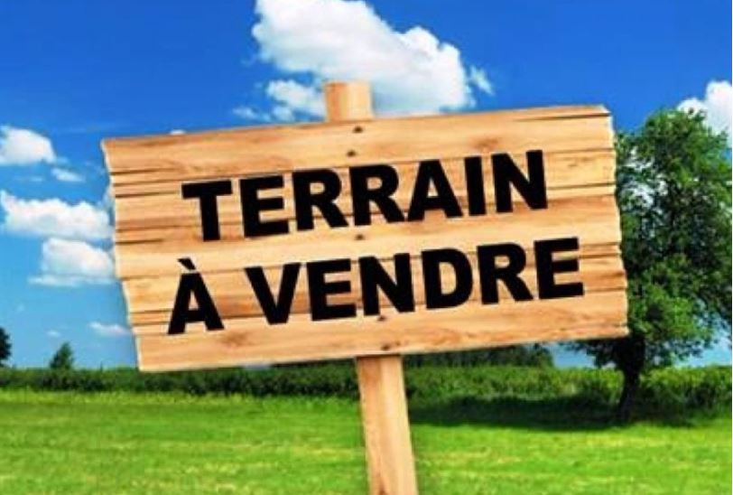 Agence immobilière de Km Immobilier Agence Montjoly